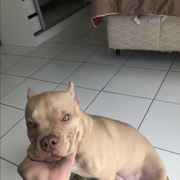 Meet your Posher, Marisol - Picture 1 of 1